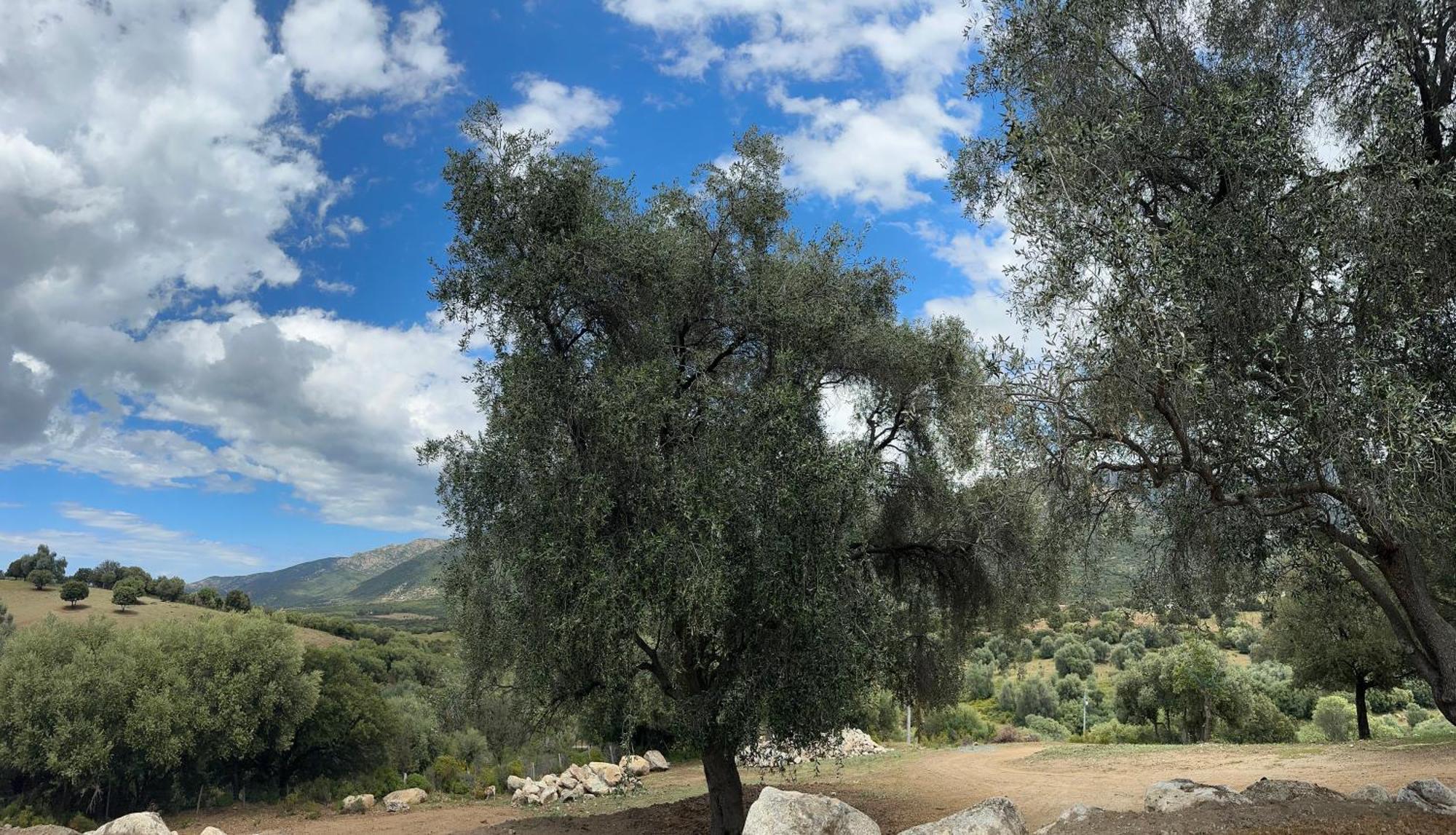 La Casa D'Ange Bergerie De Luxe Villa Lama Dış mekan fotoğraf