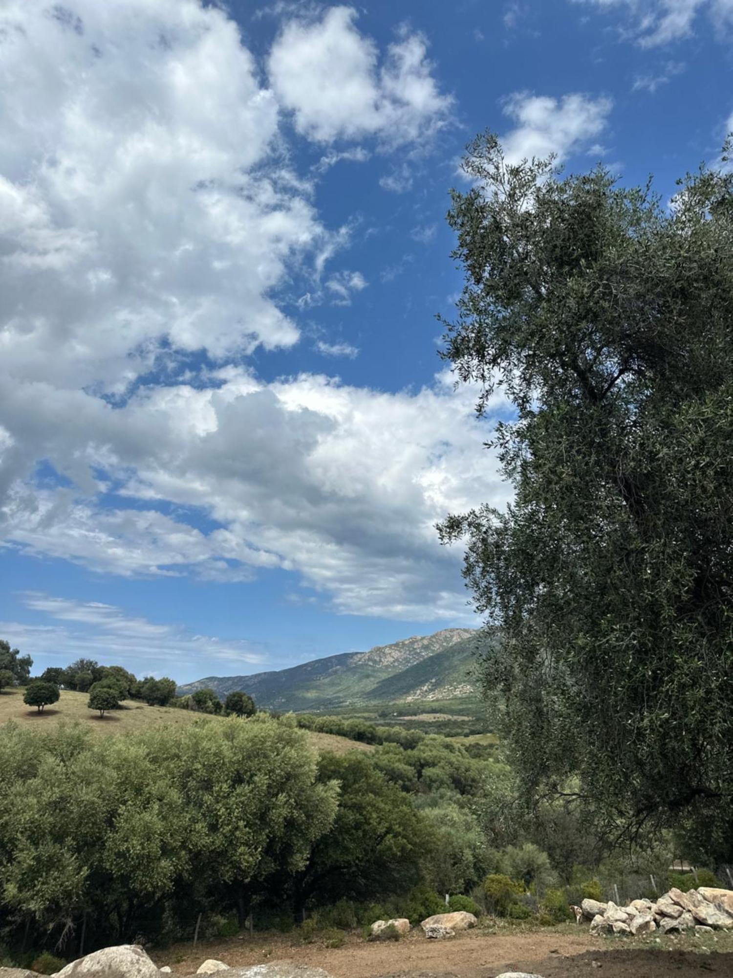 La Casa D'Ange Bergerie De Luxe Villa Lama Dış mekan fotoğraf