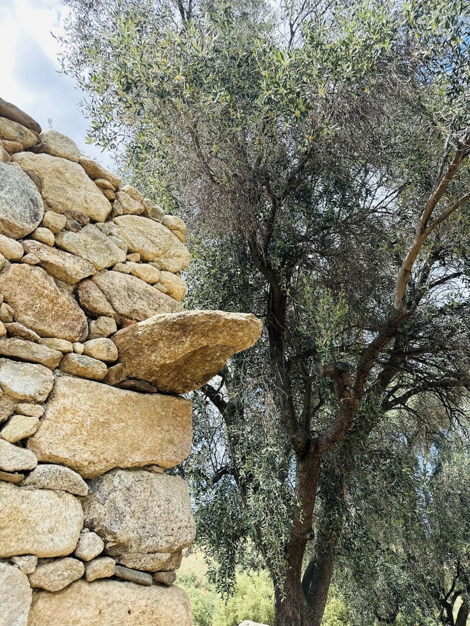 La Casa D'Ange Bergerie De Luxe Villa Lama Dış mekan fotoğraf