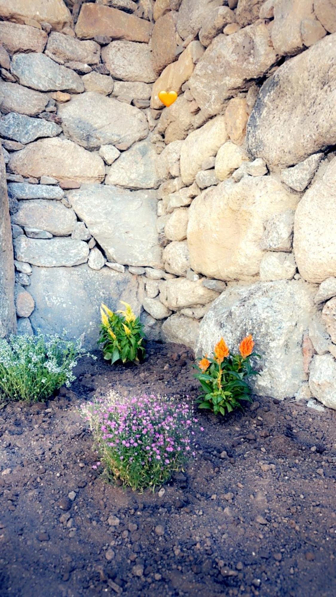 La Casa D'Ange Bergerie De Luxe Villa Lama Dış mekan fotoğraf